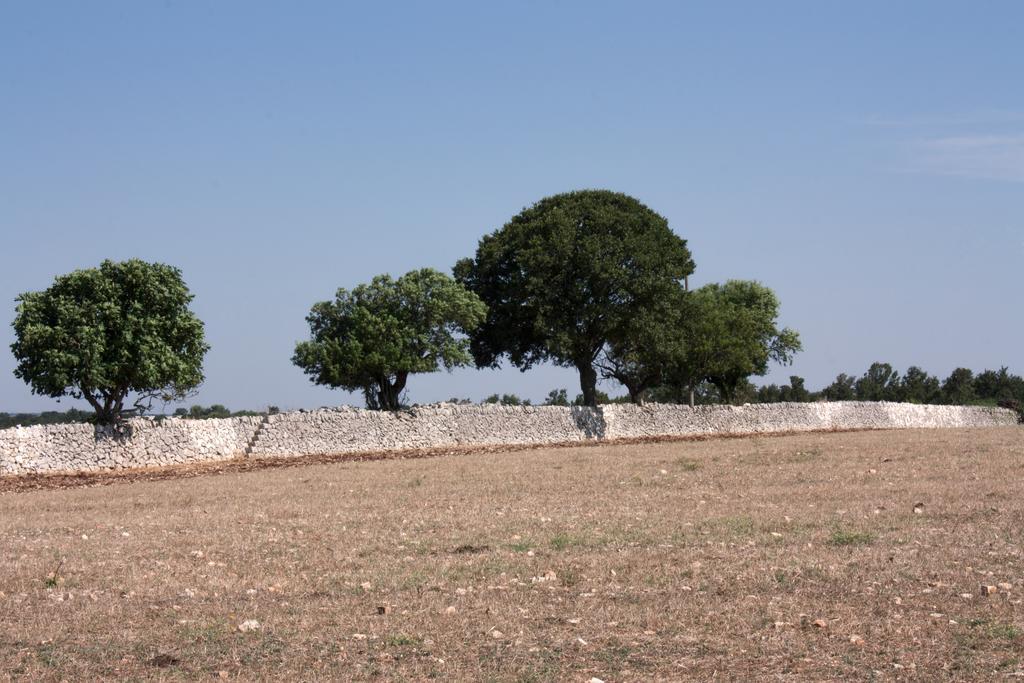 Trulli Sarmenzanello Apartman Noci Szoba fotó
