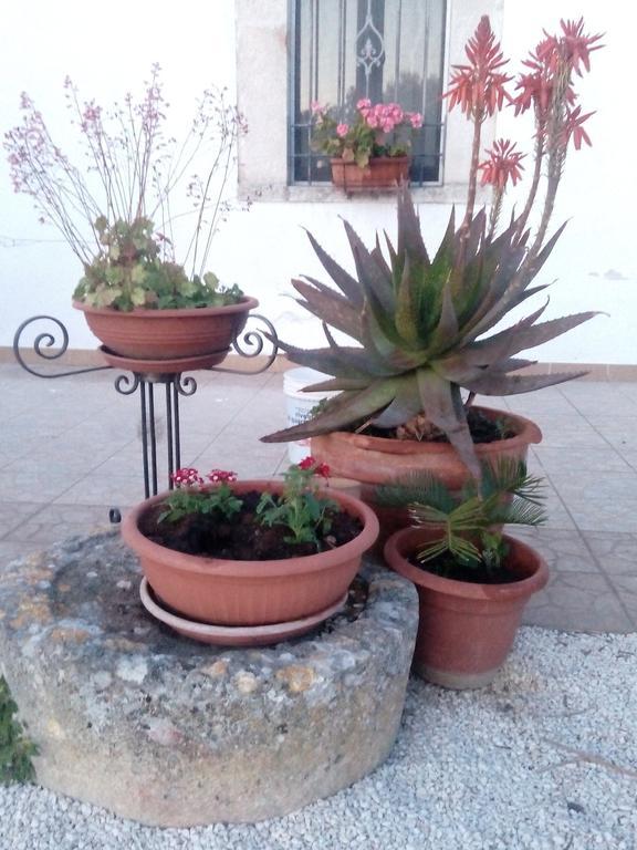 Trulli Sarmenzanello Apartman Noci Kültér fotó