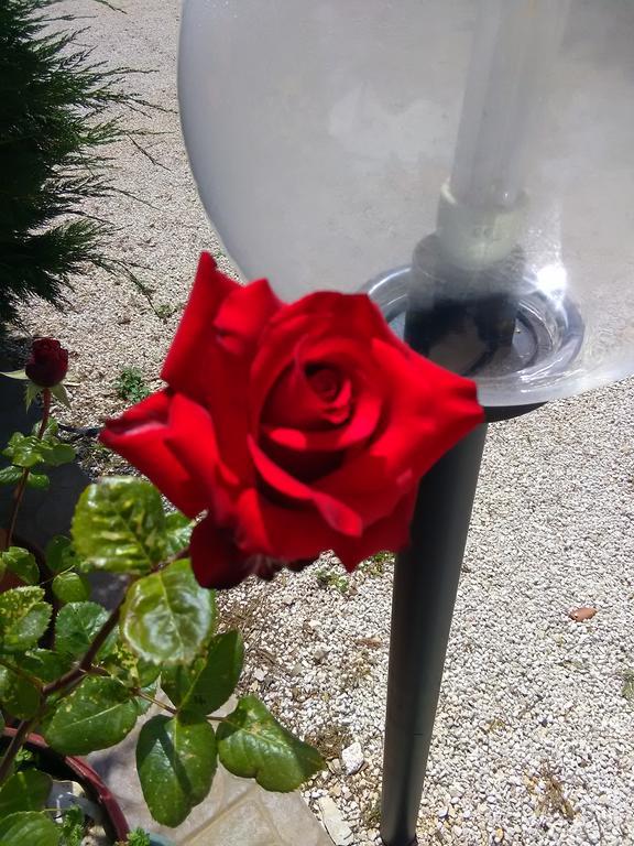 Trulli Sarmenzanello Apartman Noci Kültér fotó